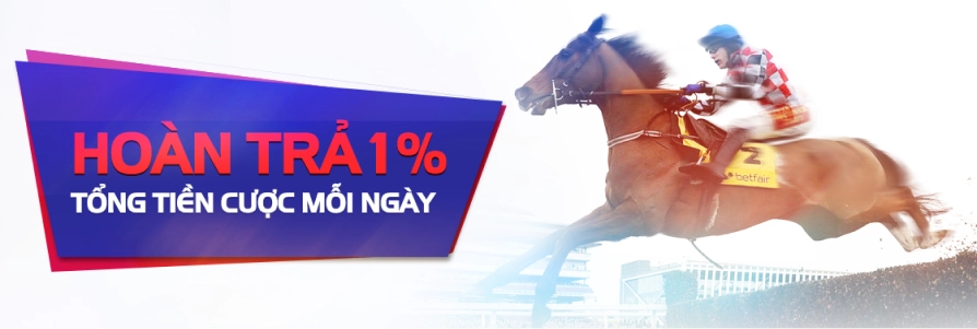 11bet